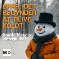 Gazelle TOP 2025 diploma Motley Denim