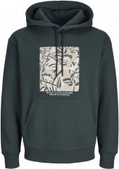 Jack & Jones ESTERBRO Hoodie Dark Green