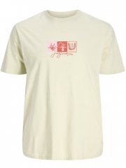 Jack & Jones Canggu Crew Neck T-Shirt Celadon Tint