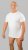 20 Nodi Mezzogiorno Sports T-Shirt White - T-shirts - T-shirts i store størrelser - 2XL-14XL