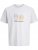 Jack & Jones Calma Crew Neck T-Shirt Gray Dawn - T-shirts - T-shirts i store størrelser - 2XL-14XL