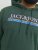 Jack & Jones Codyy Hoodie Green - Trøjer og hættetrøjer - Trøjer og Hættetrøjer i store størrelser - 2XL-14XL