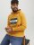 Jack & Jones Codyy Hoodie Yellow - Trøjer og hættetrøjer - Trøjer og Hættetrøjer i store størrelser - 2XL-14XL