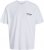 Jack & Jones Botaniq Crew Neck T-Shirt Bright White - T-shirts - T-shirts i store størrelser - 2XL-14XL