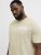Jack & Jones Blaneo Short Sleeve T-shirt Beige - T-shirts - T-shirts i store størrelser - 2XL-14XL