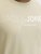 Jack & Jones Blaneo Short Sleeve T-shirt Beige - T-shirts - T-shirts i store størrelser - 2XL-14XL
