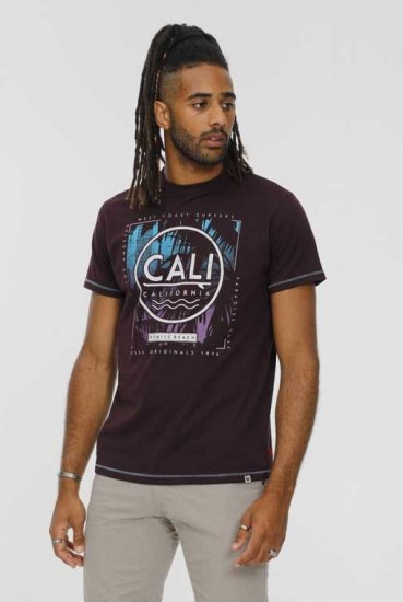 D555 NOVA Cali Surf Printed Crew Neck T-Shirt Plum - T-shirts - T-shirts i store størrelser - 2XL-14XL