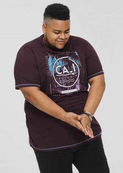 D555 NOVA Cali Surf Printed Crew Neck T-Shirt Plum - T-shirts - T-shirts i store størrelser - 2XL-14XL