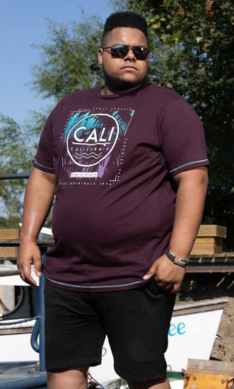 D555 NOVA Cali Surf Printed Crew Neck T-Shirt Plum - T-shirts - T-shirts i store størrelser - 2XL-14XL