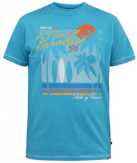 D555 AARON Surfers Paradise Printed Crew Neck T-Shirt Turquoise - T-shirts - T-shirts i store størrelser - 2XL-14XL