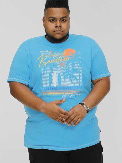 D555 AARON Surfers Paradise Printed Crew Neck T-Shirt Turquoise - T-shirts - T-shirts i store størrelser - 2XL-14XL