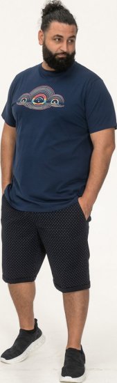 D555 Cheltenham Record With Reflection Printed T-shirt French Navy - T-shirts - T-shirts i store størrelser - 2XL-14XL