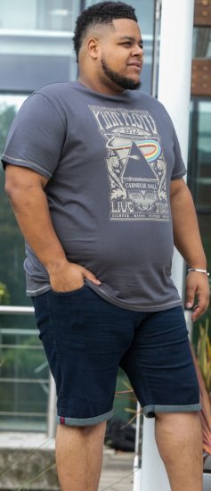 D555 HANLEY Official Pink Floyd Crew Neck T-Shirt Dark Grey TALL SIZES - HERRETØJ MT-6XLT - Tøj til høje mænd