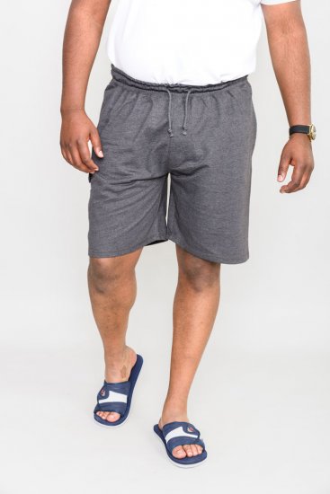 D555 John "Lightweight" Træningsshorts Grå - Joggingbukser og shorts - Sweatpants og Sweatshorts 2XL-12XL