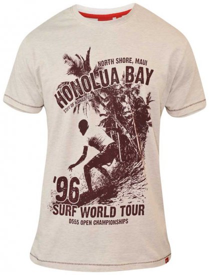 D555 CLAYTON Honolua Bay T-shirt White Marl - T-shirts - T-shirts i store størrelser - 2XL-14XL