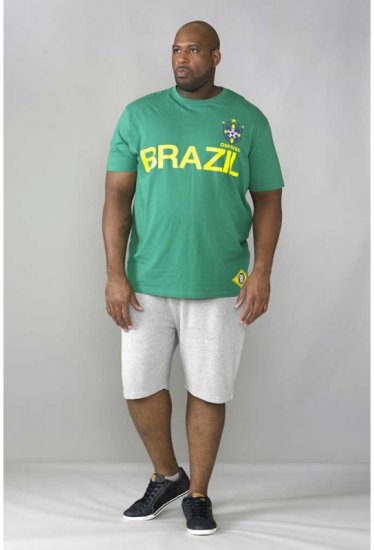 D555 Ricardo T-shirt Green - T-shirts - T-shirts i store størrelser - 2XL-14XL