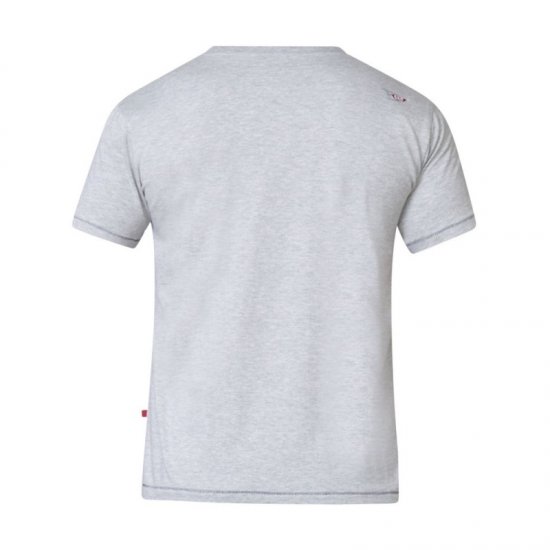 D555 Phillip T-shirt Grey - T-shirts - T-shirts i store størrelser - 2XL-14XL