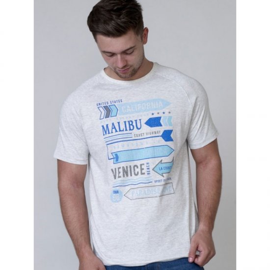 D555 Norris T-shirt Grey - T-shirts - T-shirts i store størrelser - 2XL-14XL