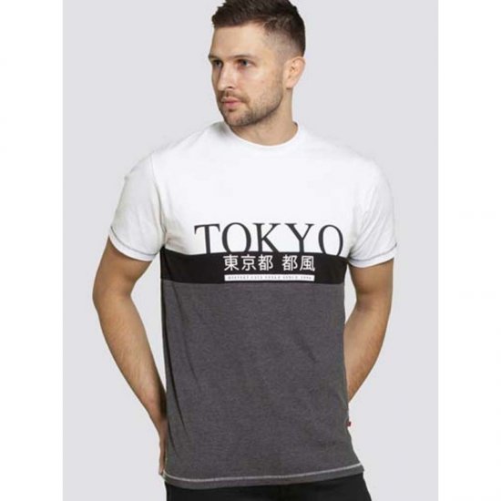 D555 Morris T-shirt Charcoal - T-shirts - T-shirts i store størrelser - 2XL-14XL