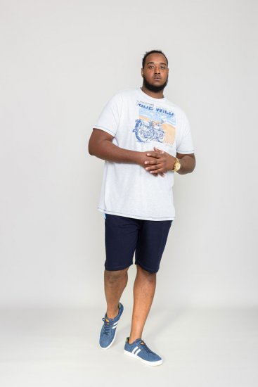 D555 LANGDON Printed T-Shirt - T-shirts - T-shirts i store størrelser - 2XL-14XL