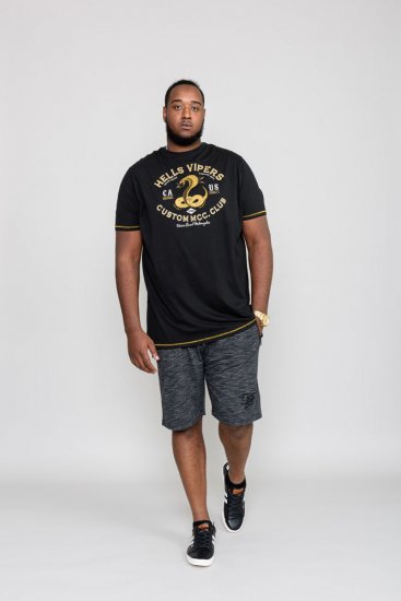 D555 WOOTON Printed T-Shirt - T-shirts - T-shirts i store størrelser - 2XL-14XL