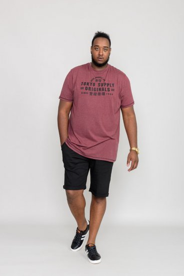 D555 LINTON Printed T-Shirt - T-shirts - T-shirts i store størrelser - 2XL-14XL