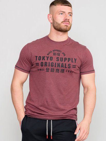 D555 LINTON Printed T-Shirt - T-shirts - T-shirts i store størrelser - 2XL-14XL