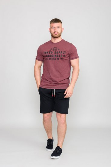 D555 LINTON Printed T-Shirt - T-shirts - T-shirts i store størrelser - 2XL-14XL
