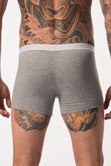 JP1880 Boxershorts Flexnamic OEKO-TEX Mid 2-Pack Grey/Off-White - Undertøj og badetøj - Badetøj og Undertøj i store størrelser 