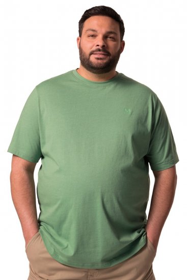 Men+ 276 T-shirt med rund hals Grøn - T-shirts - T-shirts i store størrelser - 2XL-14XL