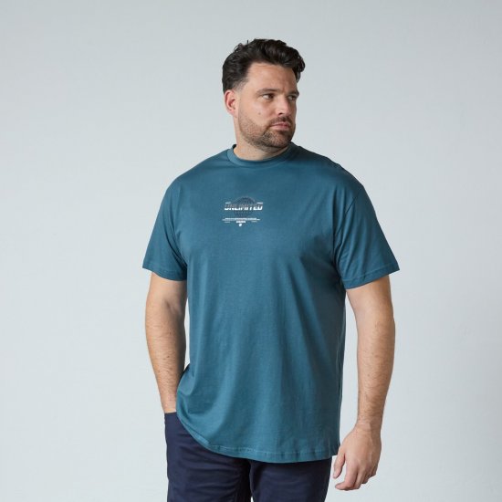 North Latitude T-Shirt With Print Blå - T-shirts - T-shirts i store størrelser - 2XL-14XL