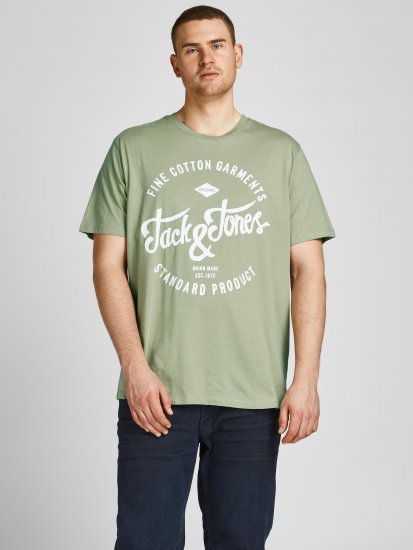 Jack & Jones JJERAFA TEE Light Green - T-shirts - T-shirts i store størrelser - 2XL-14XL