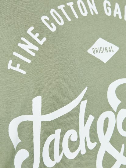 Jack & Jones JJERAFA TEE Light Green - T-shirts - T-shirts i store størrelser - 2XL-14XL