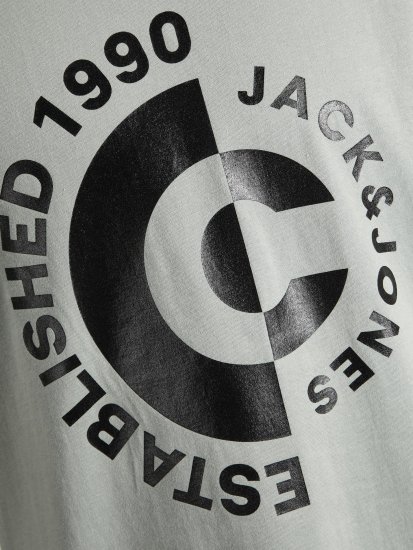 Jack & Jones JCOSPRING T-Shirt Gray - T-shirts - T-shirts i store størrelser - 2XL-14XL