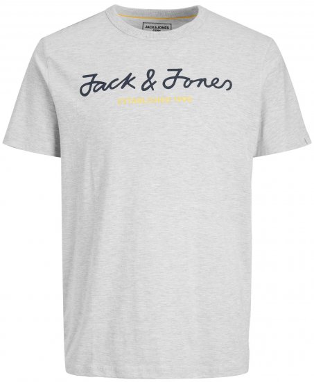 Jack & Jones JCOBERG UPSCALED TEE Grey - T-shirts - T-shirts i store størrelser - 2XL-14XL