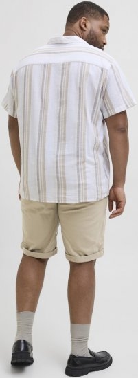 Jack & Jones Dave Chino Shorts Beige - Shorts - Shorts i store størrelser - W40-W60