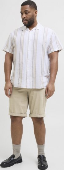 Jack & Jones Dave Chino Shorts Beige - Shorts - Shorts i store størrelser - W40-W60