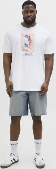 Jack & Jones Hydra Crew Neck T-Shirt Bright White - T-shirts - T-shirts i store størrelser - 2XL-14XL
