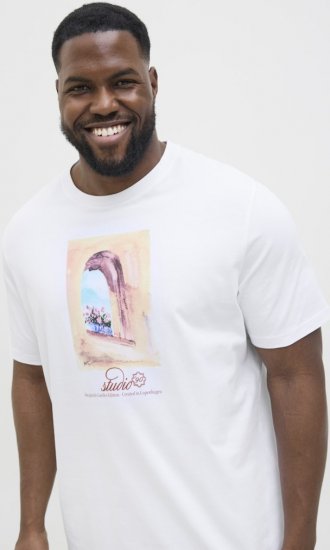 Jack & Jones Hydra Crew Neck T-Shirt Bright White - T-shirts - T-shirts i store størrelser - 2XL-14XL