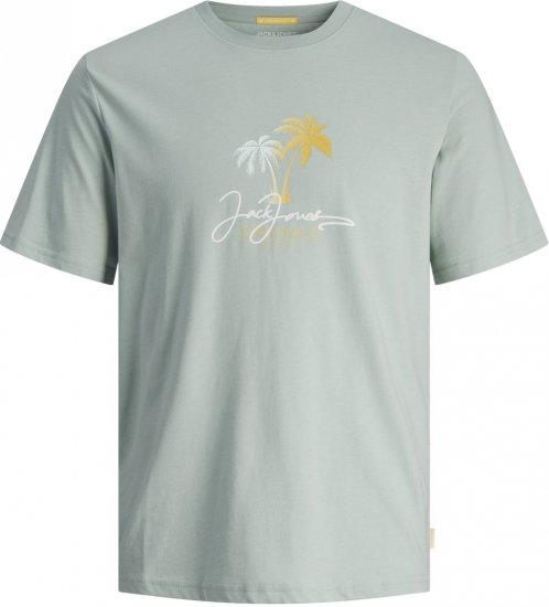 Jack & Jones JORCASEY T-Shirt Crew Neck Gray Mist - T-shirts - T-shirts i store størrelser - 2XL-14XL