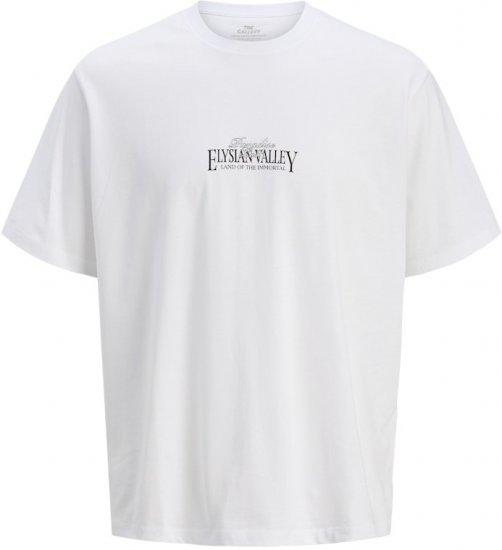 Jack & Jones Parallel Crew Neck T-Shirt Bright White - T-shirts - T-shirts i store størrelser - 2XL-14XL