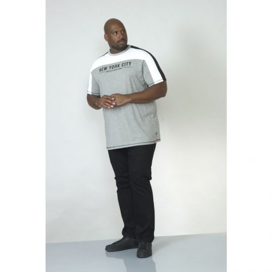 D555 Alvester T-shirt Grey - T-shirts - T-shirts i store størrelser - 2XL-14XL