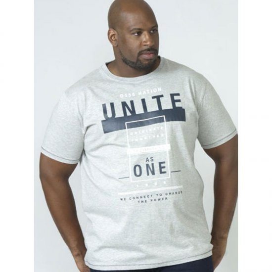 D555 Phillip T-shirt Grey - T-shirts - T-shirts i store størrelser - 2XL-14XL