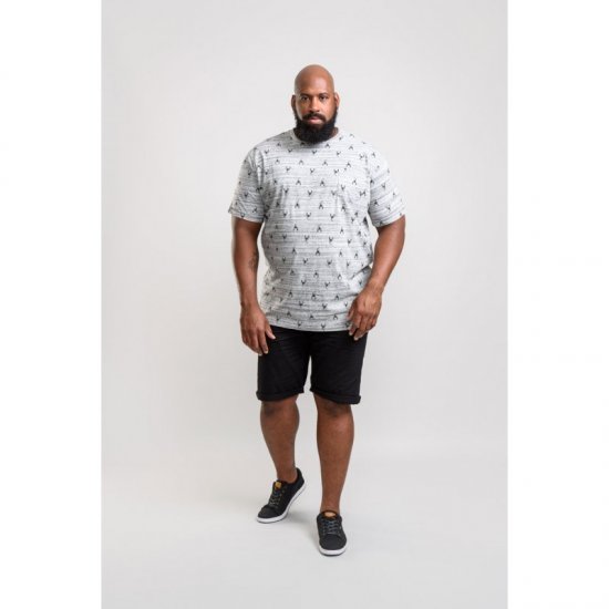 D555 Dario T-shirt Grey - T-shirts - T-shirts i store størrelser - 2XL-14XL