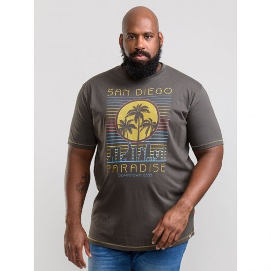 D555 Stanley T-shirt Khaki - T-shirts - T-shirts i store størrelser - 2XL-14XL