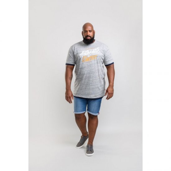 D555 Finn T-shirt Grey - T-shirts - T-shirts i store størrelser - 2XL-14XL