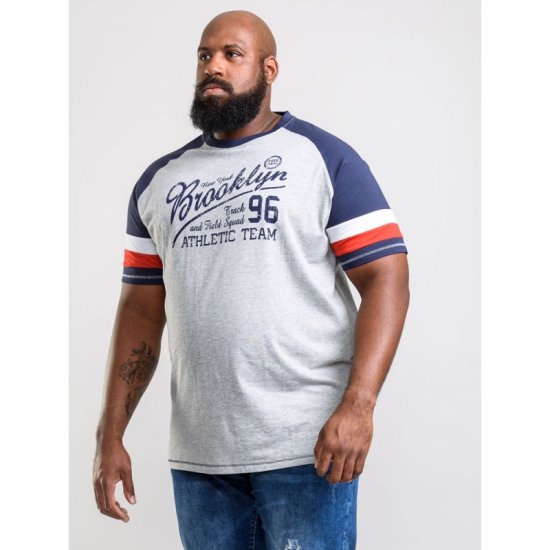 D555 Jones T-shirt Grey - T-shirts - T-shirts i store størrelser - 2XL-14XL