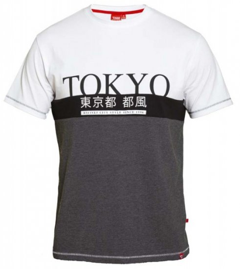 D555 Morris T-shirt Charcoal - T-shirts - T-shirts i store størrelser - 2XL-14XL