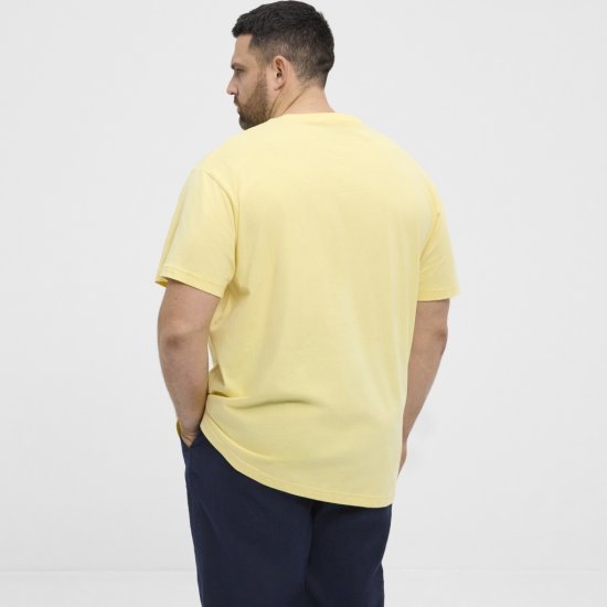 North Latitude T-Shirt Printed Short Sleeve Yellow - T-shirts - T-shirts i store størrelser - 2XL-14XL