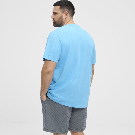 North Latitude T-Shirt Printed Turquoise - T-shirts - T-shirts i store størrelser - 2XL-14XL